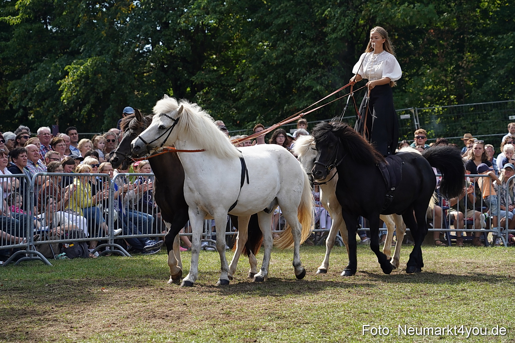 Pferde und Fohlenschau 2022 0271 